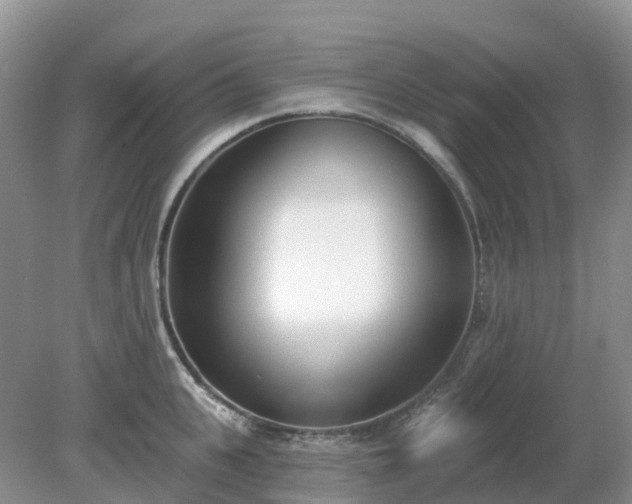 X0000079310951200611251735