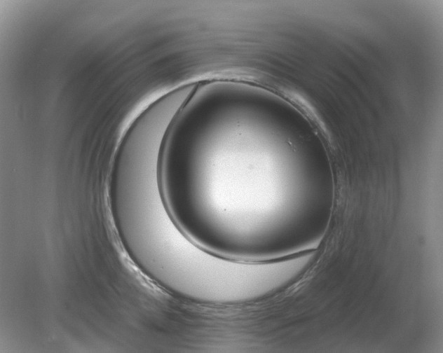 X0000079310952200611251735