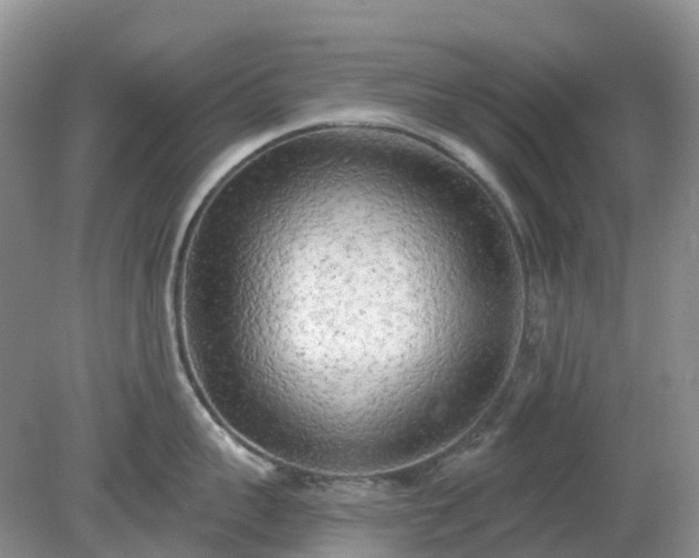 X0000079310959200611251735