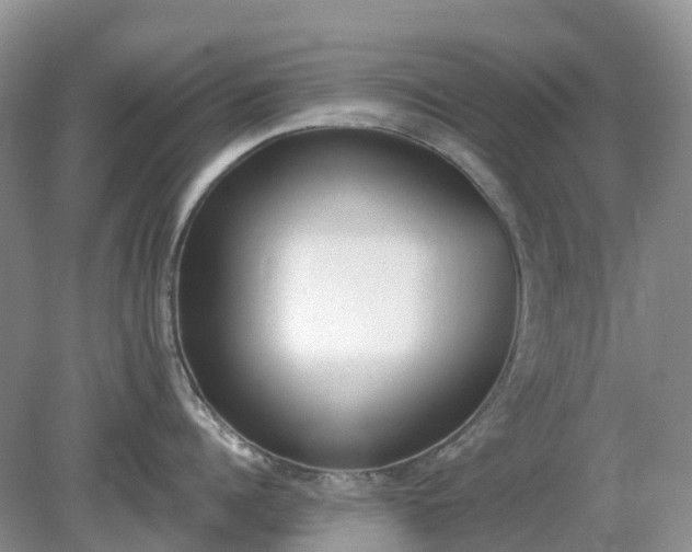 X0000079310960200611251735