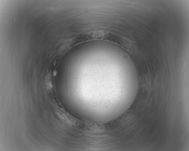 X0000079310962200611251735