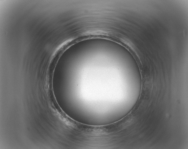 X0000079310979200611251734