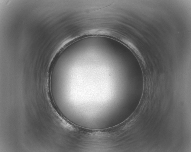 X0000079310992200611251734