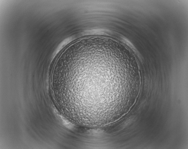 X0000079310994200611251734