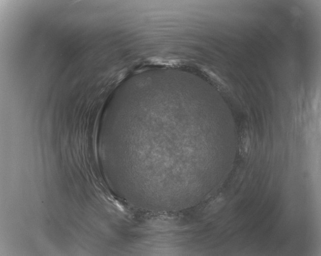 X0000079311010200611251733