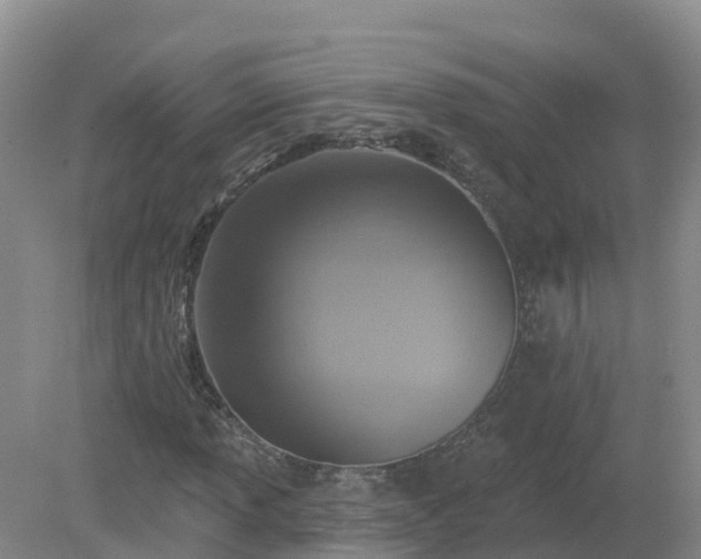 X0000079311013200611251733