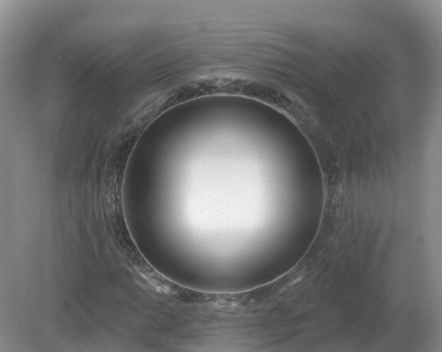 X0000079311014200611251733