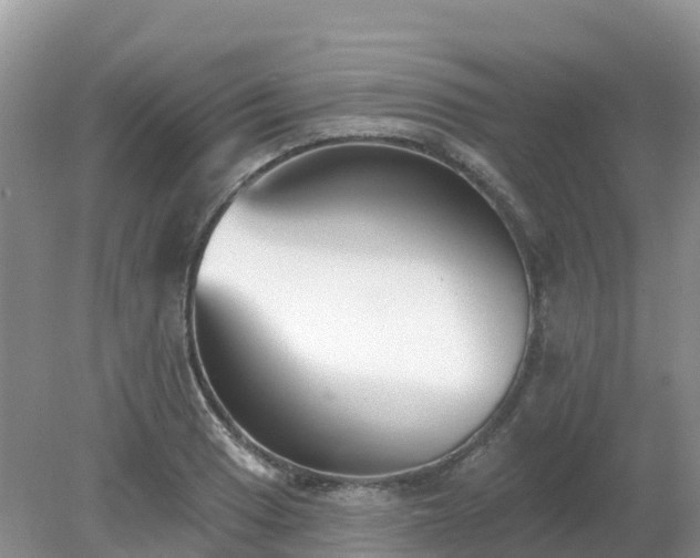 X0000079311033200611251733