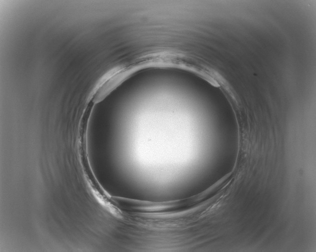 X0000079311042200611251734