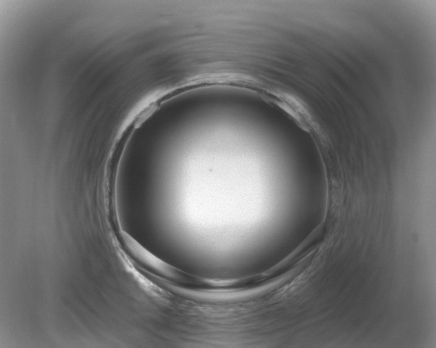 X0000079311046200611251734
