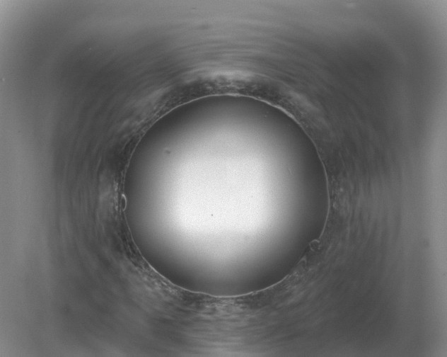 X0000079311061200611251733