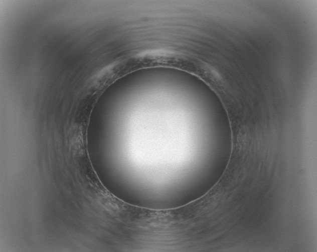 X0000079311062200611251733