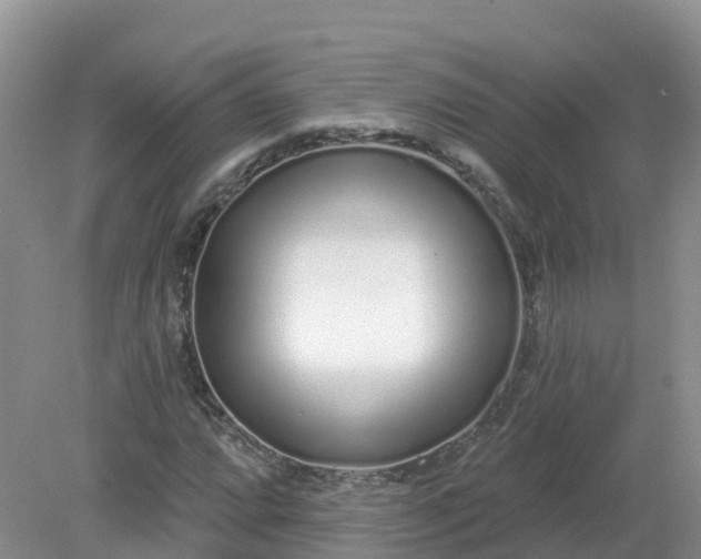 X0000079311064200611251733