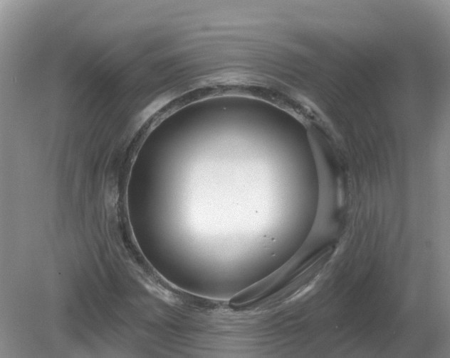 X0000079311065200611251733