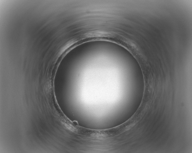 X0000079311073200611251733