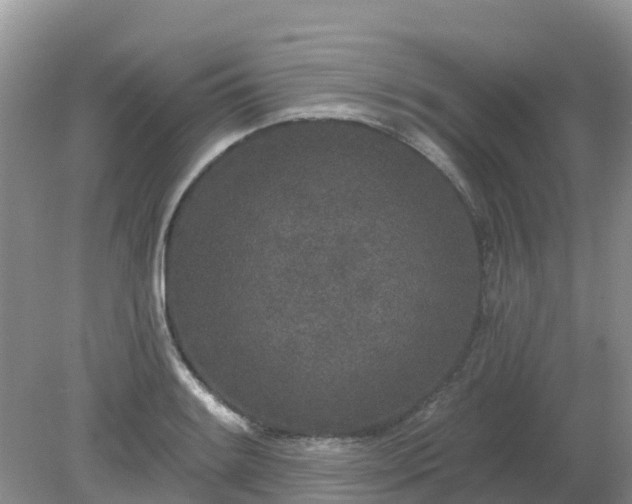 X0000079311084200611251732