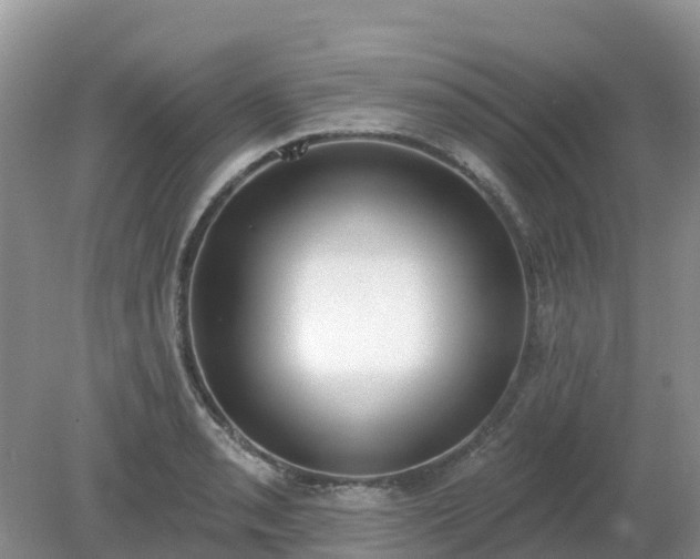X0000079311085200611251732
