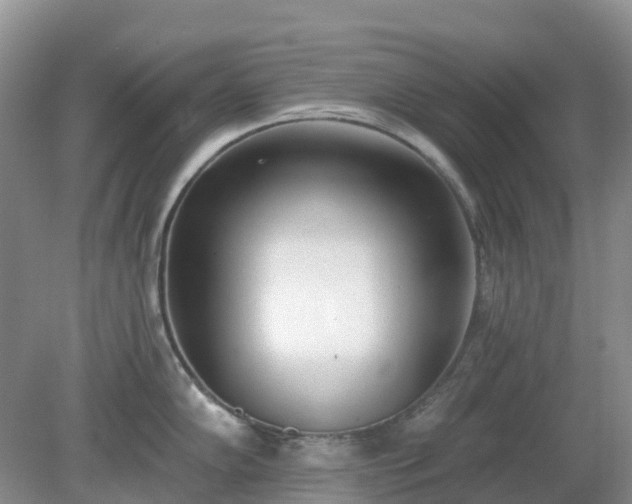 X0000079311102200611251732