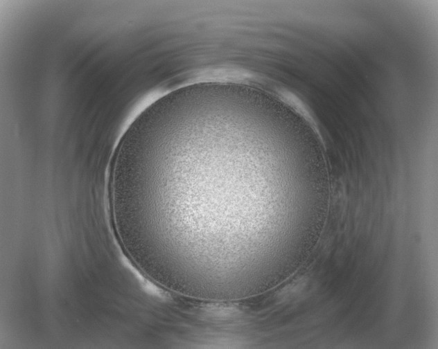 X0000079311103200611251732