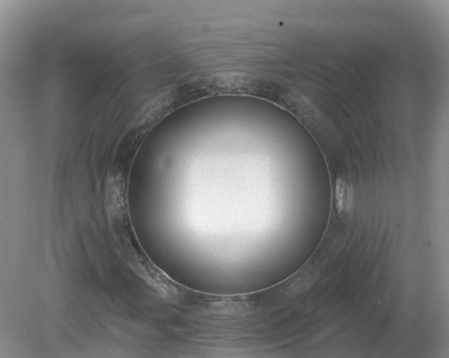 X0000079311107200611251731
