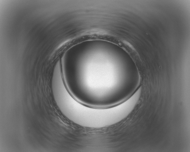 X0000079311112200611251731