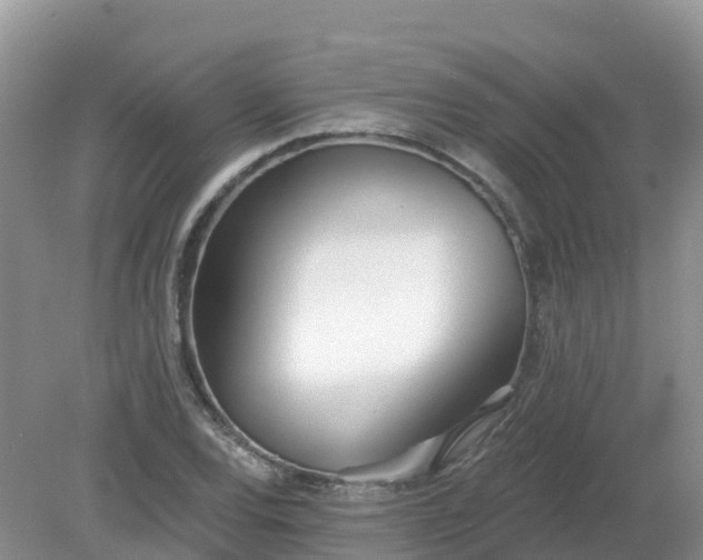 X0000079311120200611251732