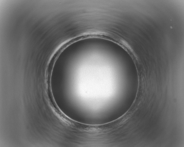 X0000079311124200611251732