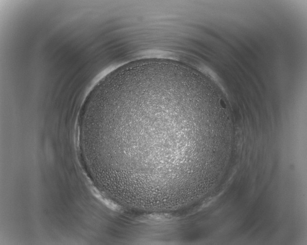 X0000079311125200611251732