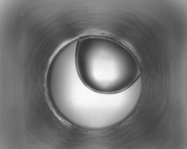 X0000079311128200611251732