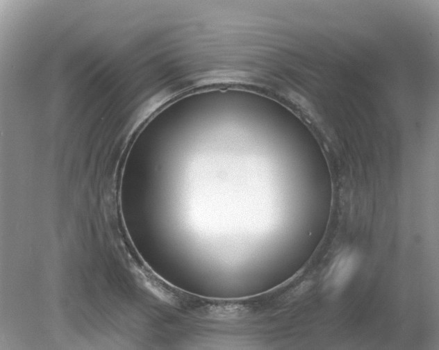 X0000079311129200611251732