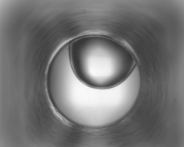 X0000079311132200611251732