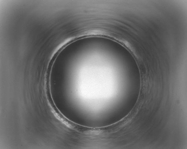 X0000079311134200611251732