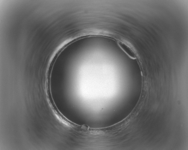 X0000079311136200611251732