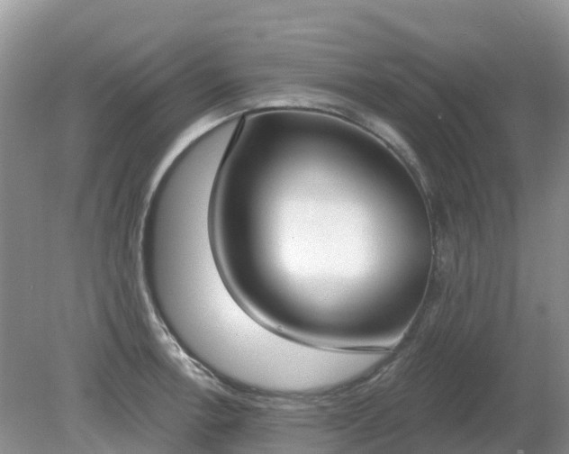 X0000079311138200611251732