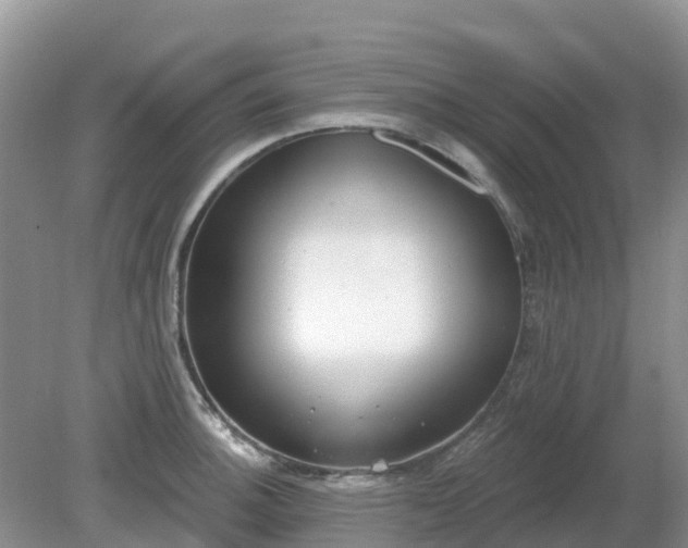 X0000079311140200611251732