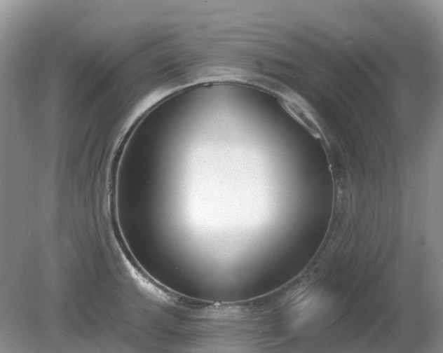 X0000079311143200611251732