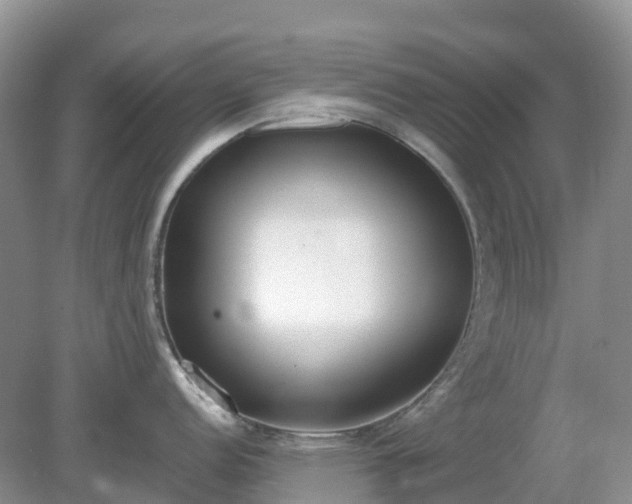 X0000079311152200611251732