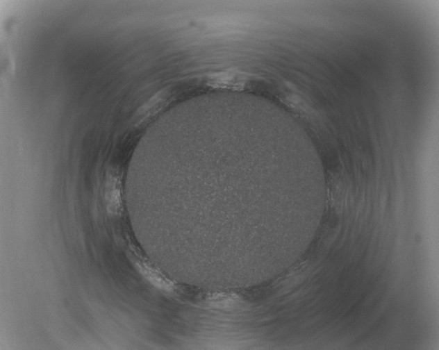 X0000079311154200611251731