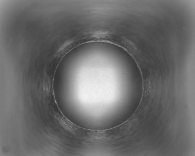 X0000079311158200611251731