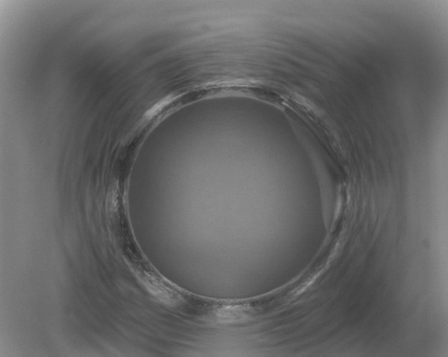 X0000079311161200611251731