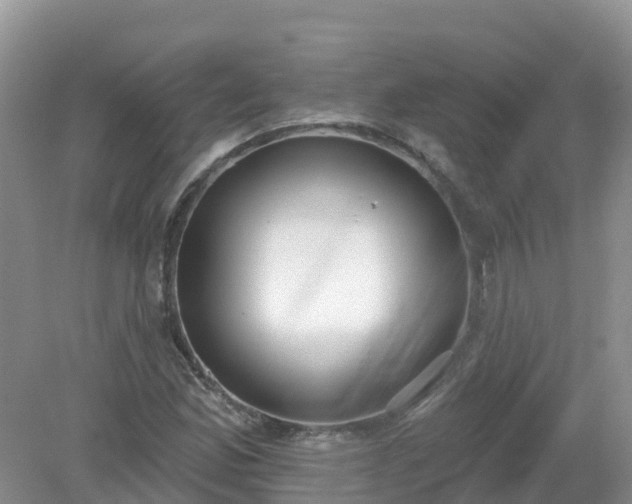 X0000079311165200611251731