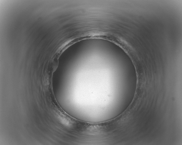 X0000079311169200611251731