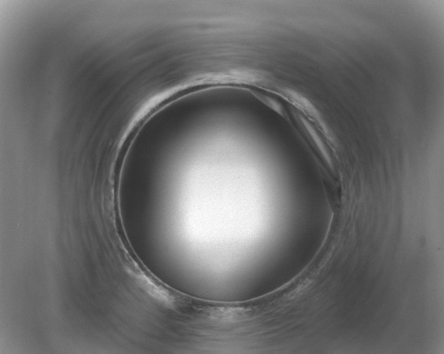 X0000079311184200611251731