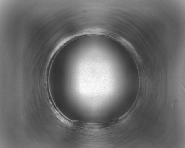 X0000079311192200611251731