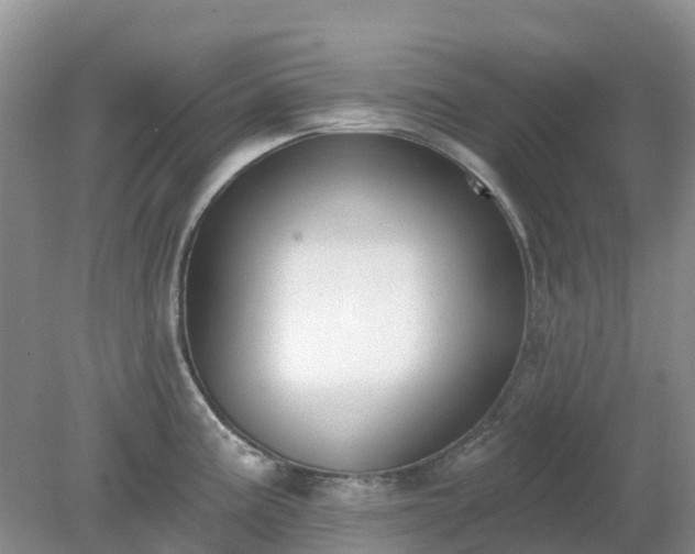 X0000079311195200611251731