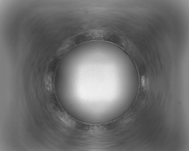X0000079311203200611251730