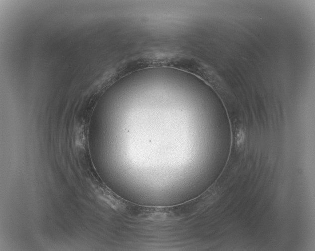 X0000079311204200611251730