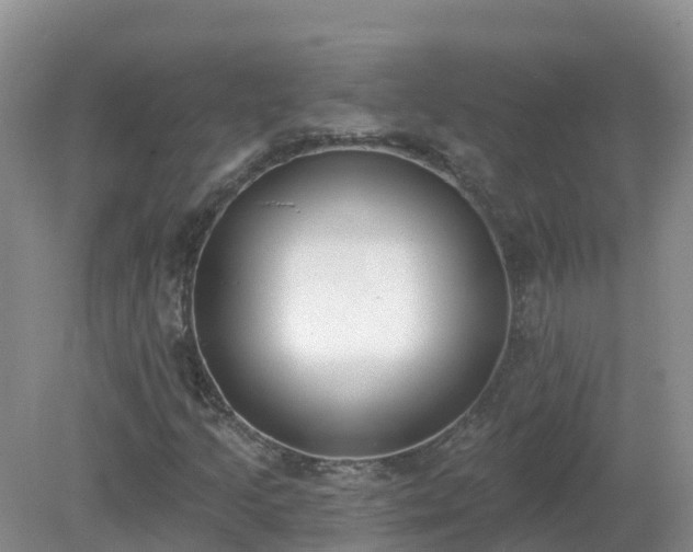 X0000079311205200611251730