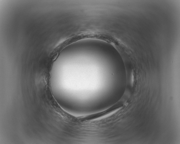 X0000079311206200611251730