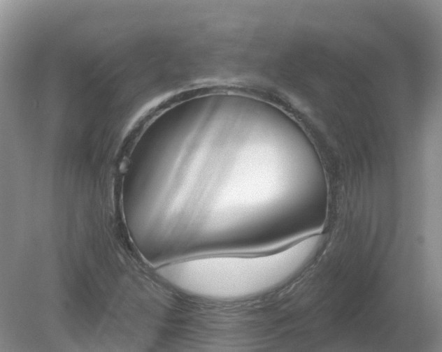X0000079311214200611251730
